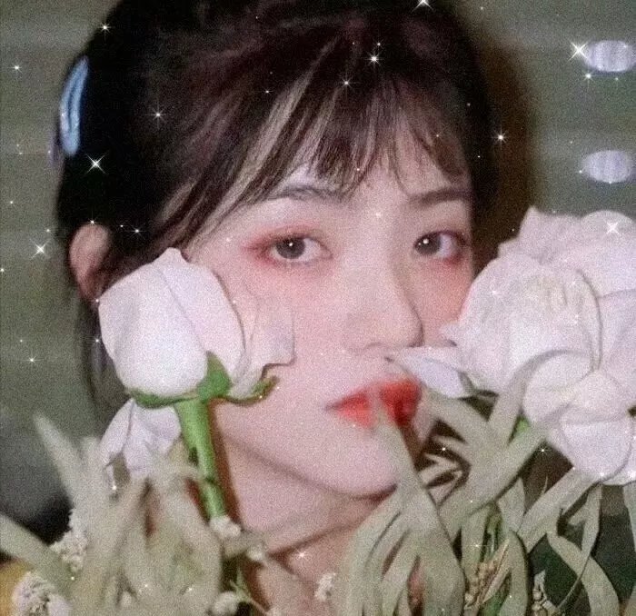 旗正飘飘